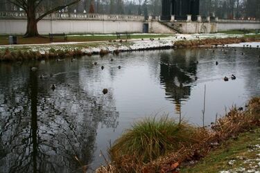 Piątek przyniesie lekki mróz i opady śniegu