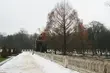 Weekend pełny śniegu. Utrzymywać się będzie minusowa temperatura