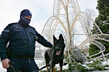 Zdzisiek dołączył do policji
