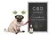 7 ciekawostek o CBD
