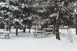 Dawno nie było takich mrozów. Temperatura spadnie do -20°C