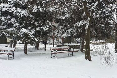 Dawno nie było takich mrozów. Temperatura spadnie do -20°C