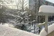 Śnieg zabłyszczy w słońcu. Początek tygodnia mroźny, ale pogodny