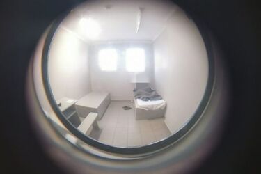 Wyrzucił szczeniaka z okna na czwartym piętrze