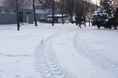 Czwartek bez opadów śniegu. Zza chmur wyjdzie słońce