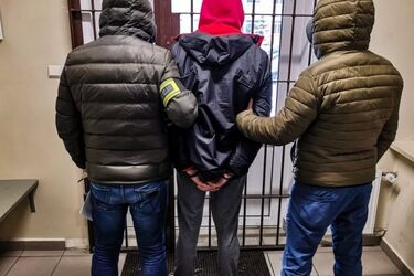 Szajka powiatowych złodziejaszków. Wyjmowali akumulatory z zaparkowanych aut