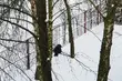 Czas na odwilż. W Białymstoku temperatura nawet do 5°C