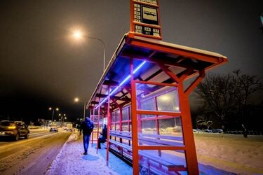 Przystanki w Białymstoku. Zakończył się montaż 80 nowych wiat