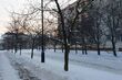 Ostatni poniedziałek stycznia. Jaką pogodę przyniesie?
