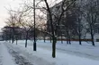 Ostatni poniedziałek stycznia. Jaką pogodę przyniesie?