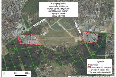 Rozbudowa lotniska. Prawie 15 tys. drzew pójdzie pod topór? 