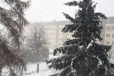 Obfite opady śniegu i silny wiatr. Prognoza pogody dla Białegostoku