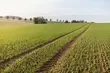 Wzięły unijne dopłaty. Na cudze działki