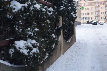 Czwartek w Białymstoku. Opady śniegu nie są prognozowane
