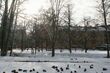 Kolejny spadek temperatury. W piątek odczuwalna sięgnie nawet -8°C