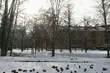 Kolejny spadek temperatury. W piątek odczuwalna sięgnie nawet -8°C