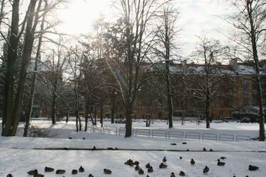 Kolejny spadek temperatury. W piątek odczuwalna sięgnie nawet -8°C