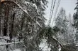 Kilkuset mieszkańców regionu nadal nie ma prądu