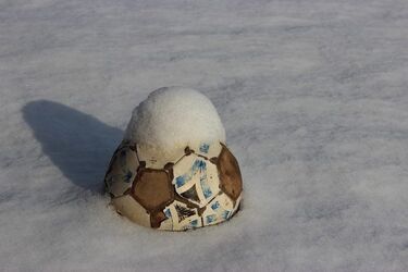 Aż 3 kluby z Podlasia są w strefie spadkowej. Zima jest więc pracowita