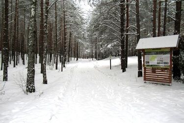 Sport i rekreacja w otoczeniu łosi, saren czy wilków. BPN przyszykował trasy narciarskie