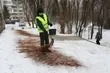 Fusy z kawy zamiast soli na chodnikach wielu miast. Co na to Białystok?
