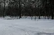 Półmetek tygodnia. W Białymstoku śnieg popada, ale znacznie mniej
