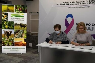 Zdrowie odżywianie i regularne badanie. W BCO rozdawali jabłka zamiast pączków