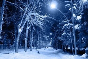 Mróz ponownie zaatakuje. Lokalnie temperatura spadnie do nawet -23°C