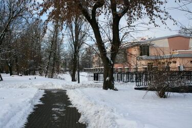Chłodny piątek w mieście. Mogą wystąpić opady śniegu