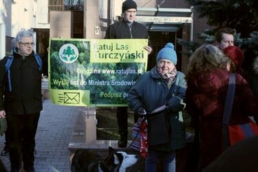 Las Turczyński uratowany. Zamiast wycinki będzie świętowanie