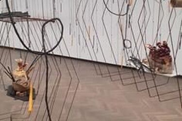 Grzyby reishi skolonizowały Arsenał. O wystawie Izy Tarasewicz