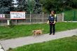 "Zwierzęcy zakątek", a może "Zacisze Dolistówki"? Trwa głosowanie na nazwę schroniska
