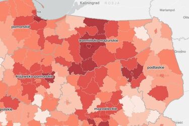 Znów dużo zachorowań. W okolicach Łomży tyle, co w warmińsko-mazurskim