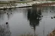 Półmetek tygodnia. Jakiej pogody należy się spodziewać?