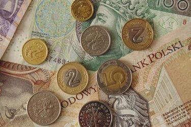 Uwaga na oszustów. Fałszywi wolontariusze chodzą po mieszkaniach