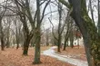 Zima powoli wraca na Podlasie. W nocy będą przymrozki