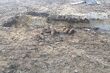 Znaleźli 7 niewybuchów na placu budowy