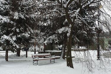 Śnieg wraca na Podlasie. W piątek progonozowane są opady