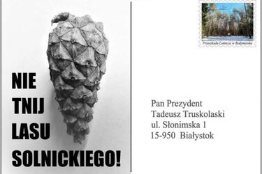 Dalszy spór ws. wycinki drzew pod lotnisko. Trwa akcja: "Wyślij szyszkę Prezydentowi"