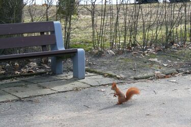 Pogoda na piątek. Będzie śnieg, a w nocy przymrozek