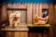 Białostocki Teatr Lalek rusza ze spektaklami w sieci