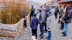 Bezpłatne sadzonki. Mieszkańcy chętnie je odbierali [ZDJĘCIA]