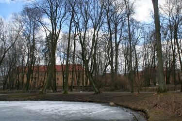 Zapowiada się słoneczny wtorek. Biomet znów będzie korzystny