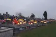 Cmentarza w lesie Turczyńskim nie będzie. Jakie plany ma archidiecezja?