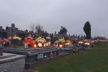 Cmentarza w lesie Turczyńskim nie będzie. Jakie plany ma archidiecezja?