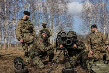 Terytorialsi z Podlasia uczą się od Brytyjczyków i Amerykanów