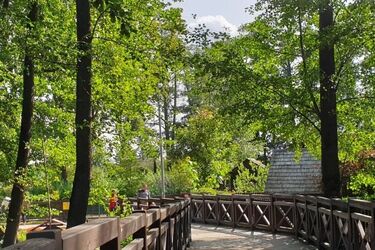 Ranking zielonych miast Polski. Na 1. miejscu Koszalin, a Białystok prawie na szarym końcu