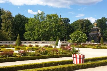 Kolorowa wiosna zawita do Białegostoku. Rozpoczęło się sadzenie kwiatów