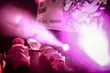 Trailer ŻUBROFFKI zakwalifikowany na Festiwal w Annecy!