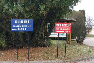 W Poniedziałek Wielkanocny dużo mniej zakażeń i zgonów [RAPORT]